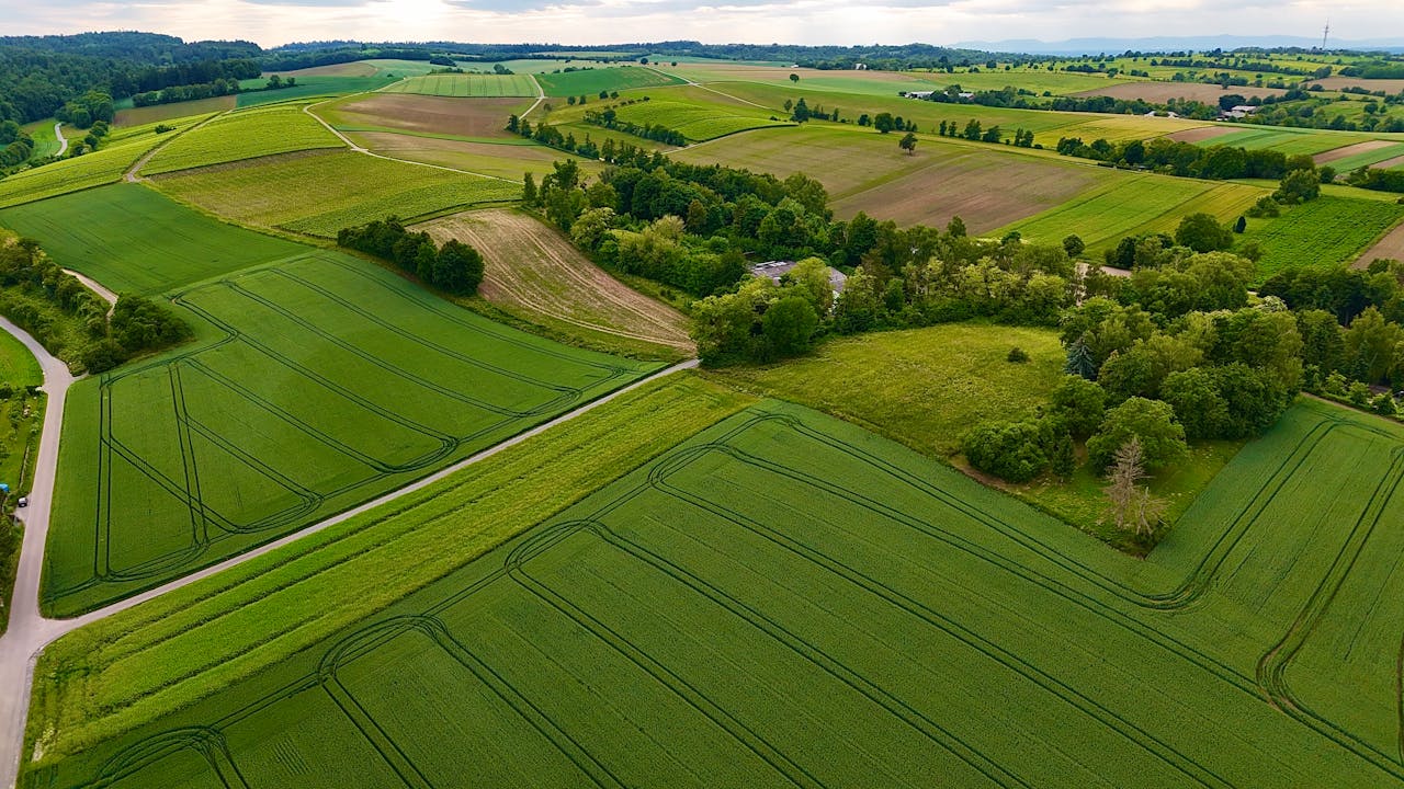 Plots/Land